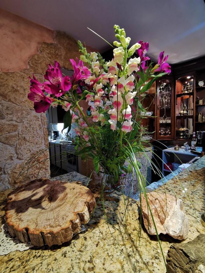 Bed and Breakfast Dom Pod Tujami Cracovia Esterno foto